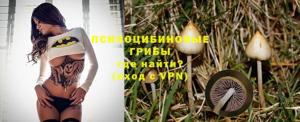 синтетический гашиш Инта